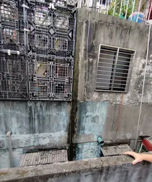 項目
