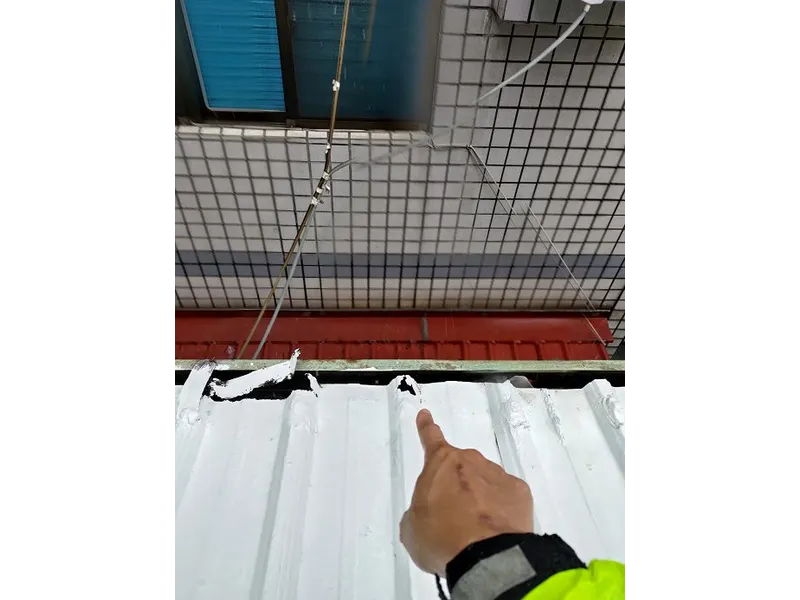 案例照片
