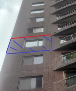項目